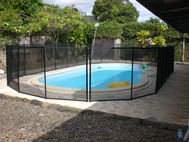 Barrière piscine Beethoven noire piquets gris anodisés